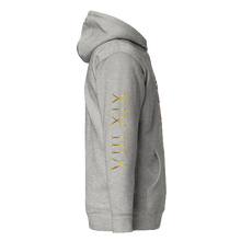 Load image into Gallery viewer, 80's Baby Hoodie (Adult)